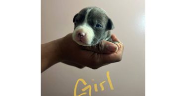 3 boys and 5 girls