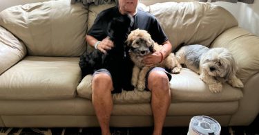 12-week-old Whoodle puppy for sale