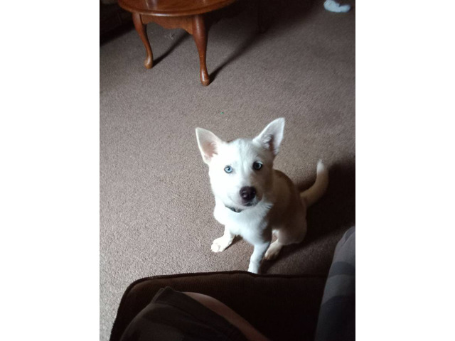 Luna