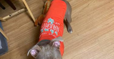 Neo needs a home