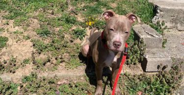 Neo needs a home
