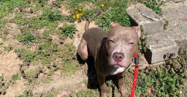 Neo needs a home
