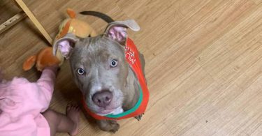 Neo needs a home