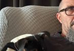 12 weeks old Decker Rat Terrier puppy
