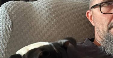 12 weeks old Decker Rat Terrier puppy