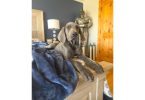 AKC GREAT DANE PUPPIES