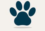 Puppies near you