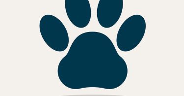 Puppies near you